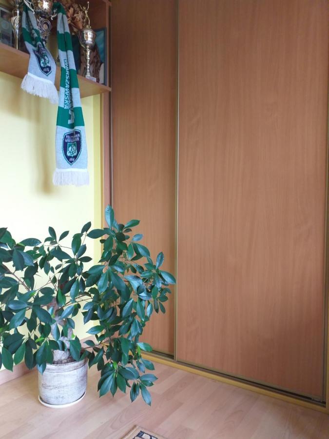 Domek Pod Przehyba - Pokoje Golkowice Dolne Экстерьер фото