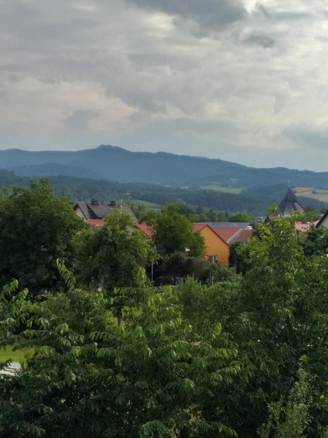 Domek Pod Przehyba - Pokoje Golkowice Dolne Экстерьер фото